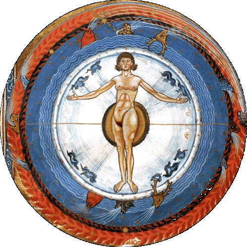 Vitruvian woman