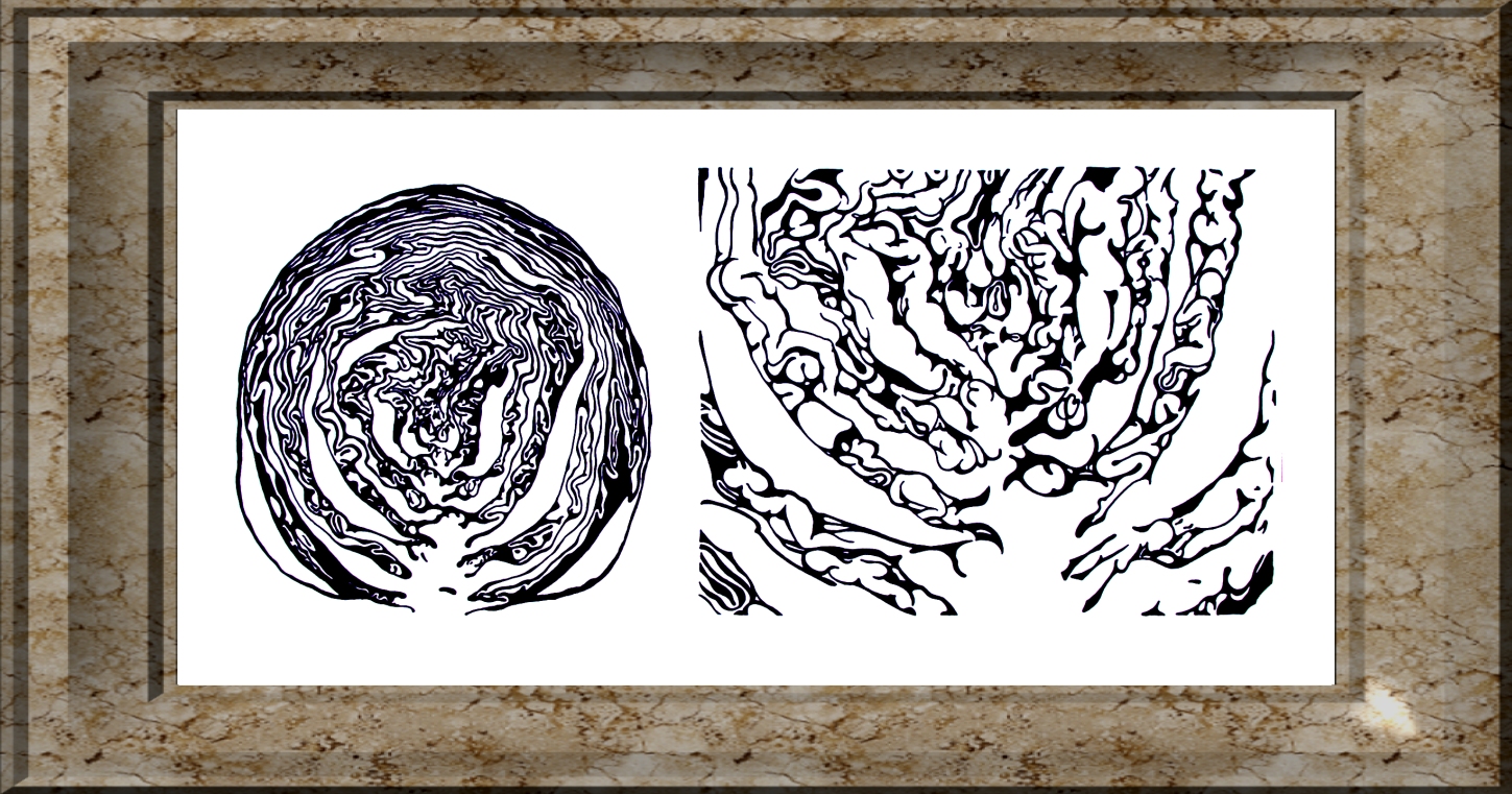 cabbage