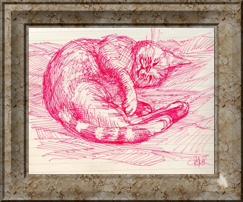 cat drawing