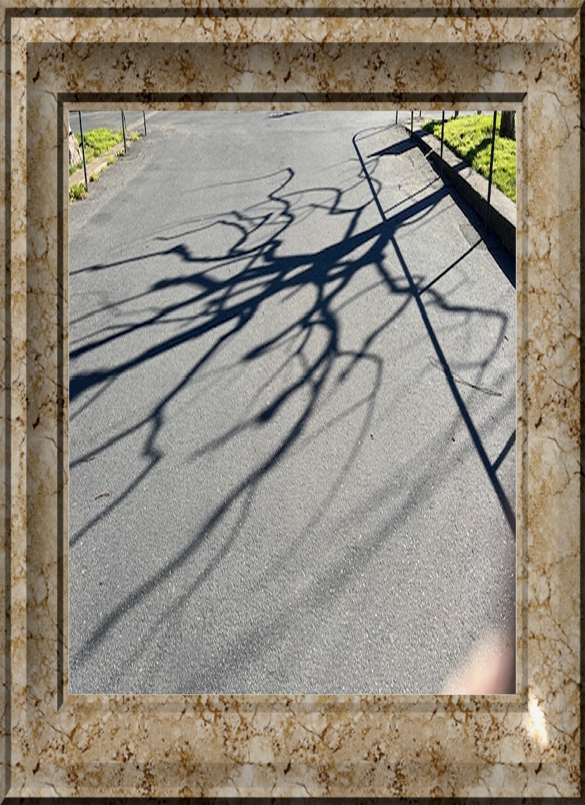 shadow