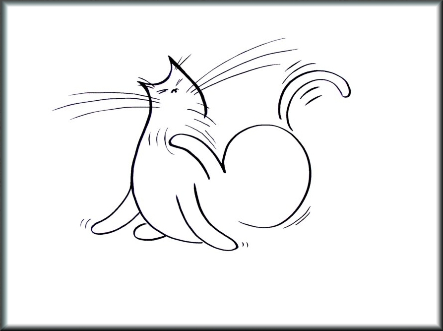 puddy